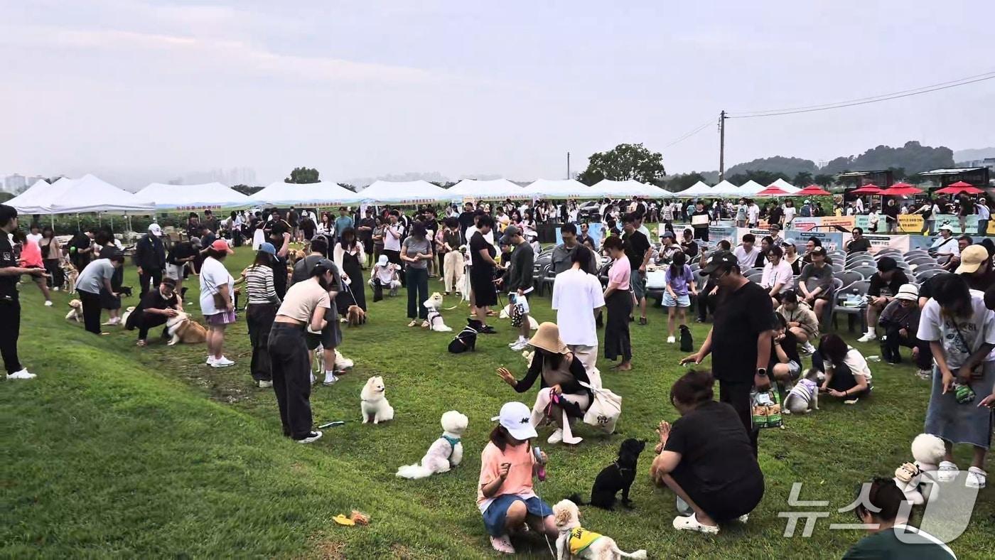 본문 이미지 - 반려동물 운동회 '우리동네 개체능' 현장.(시흥시 제공)