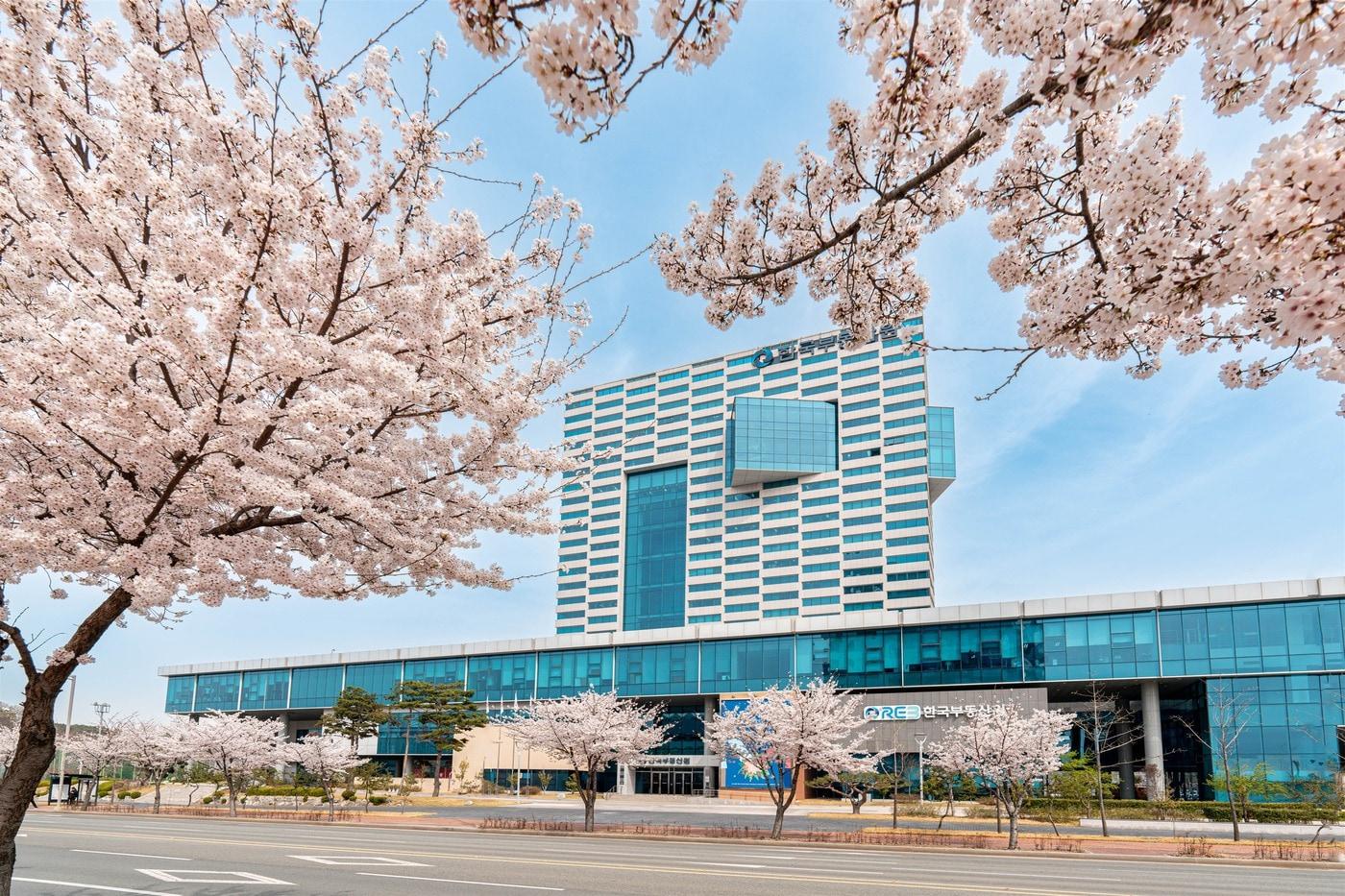 본문 이미지 - 한국부동산원(한국부동산원 제공).