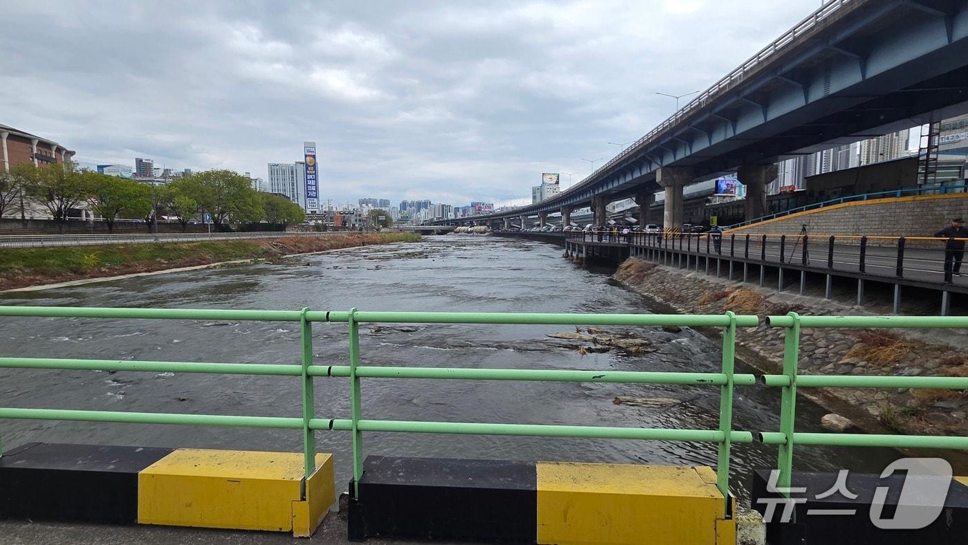본문 이미지 - 대구 북구 칠성동 잠수교 아래에서 50대 여성 시신이 든 캐리어가 발견돼 경찰이 수사에 나섰다. 사진은 캐리어 발견 지점인 잠수교 인근 모습. 2026.3.31 ⓒ 뉴스1 이성덕 기자