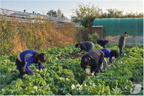 본문 이미지 - 부산시 제공. 재판매 및 DB금지