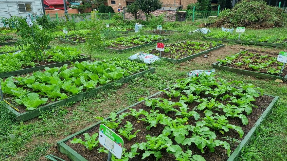 본문 이미지 - 강북 도시농업 체험장 전경(강북구 제공)