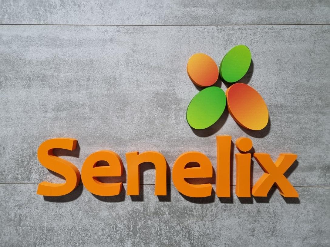 본문 이미지 - (세네릭스 제공)