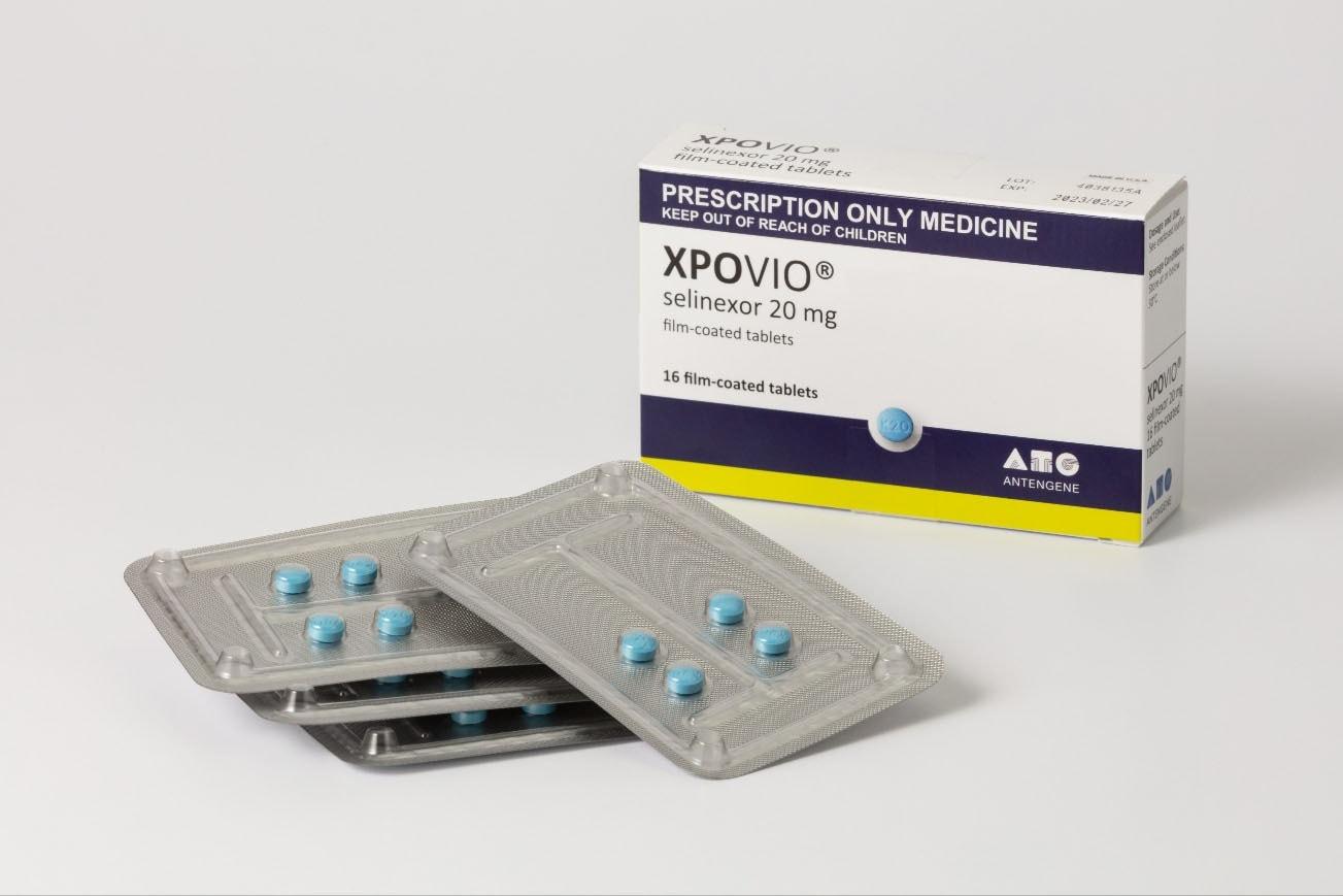 본문 이미지 - (보령 제공)