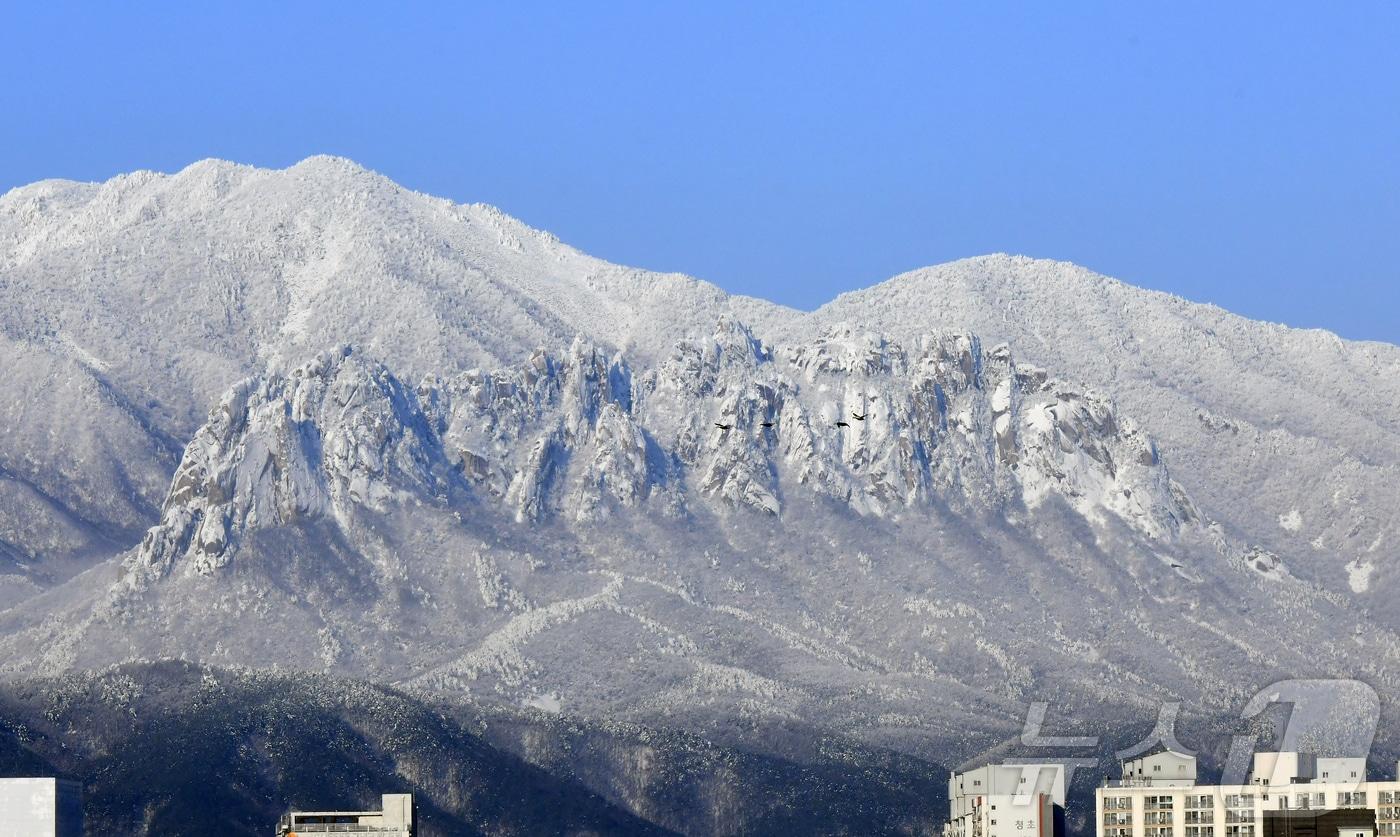 본문 이미지 - 눈 덮인 속초 설악산.(뉴스1 DB)