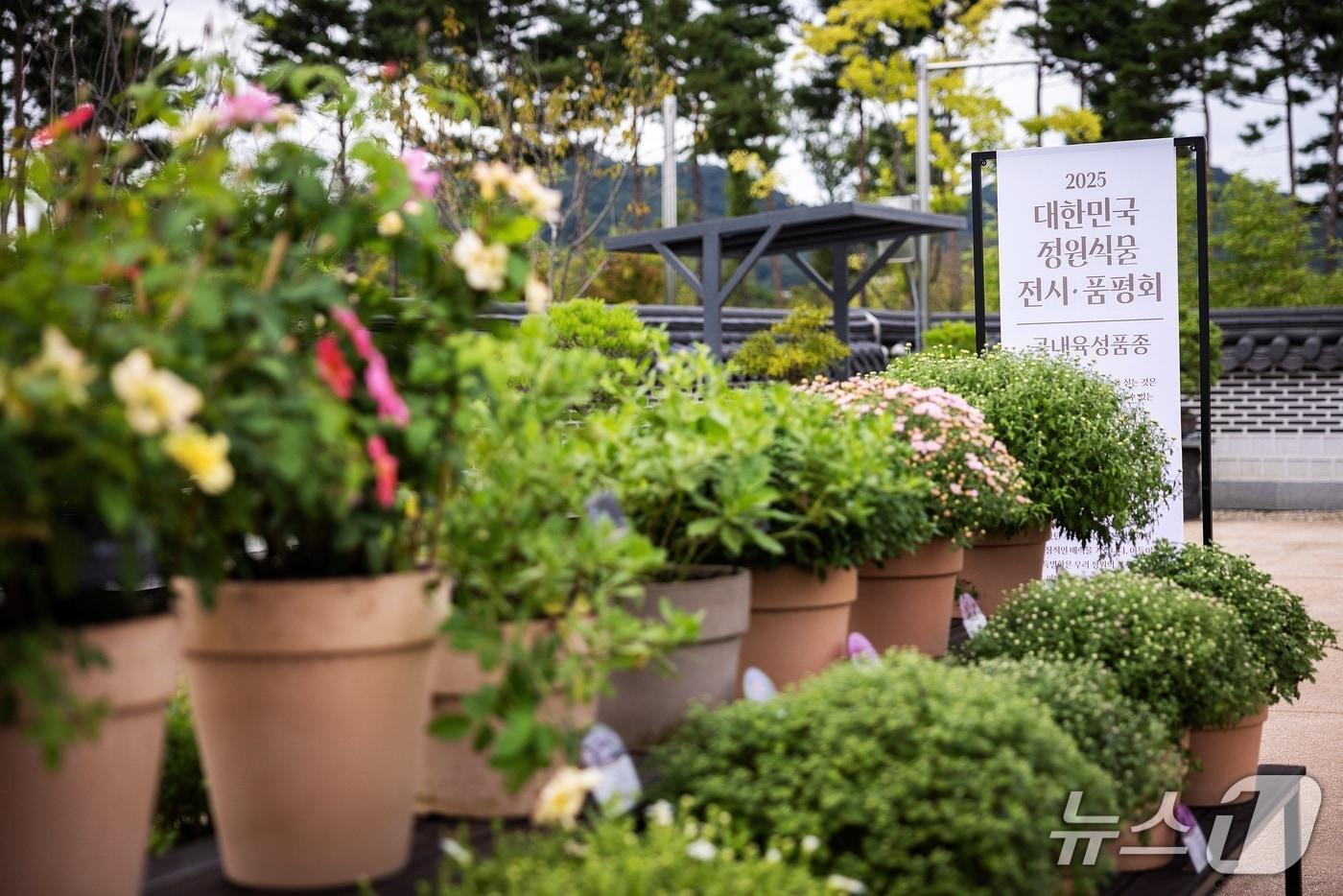 본문 이미지 - 2025년 정원식물 품평회 사진(한국수목원정원관리원 제공.재판매 및 DB금지) /뉴스1