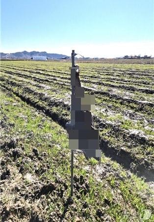 본문 이미지 - 현장 모습.(독자 제공. 재판매 및 DB 금지)