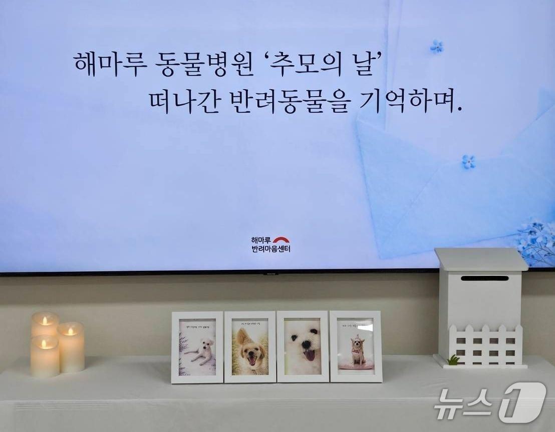 본문 이미지 - 해마루동물병원 반려마음센터(병원 제공) ⓒ 뉴스1