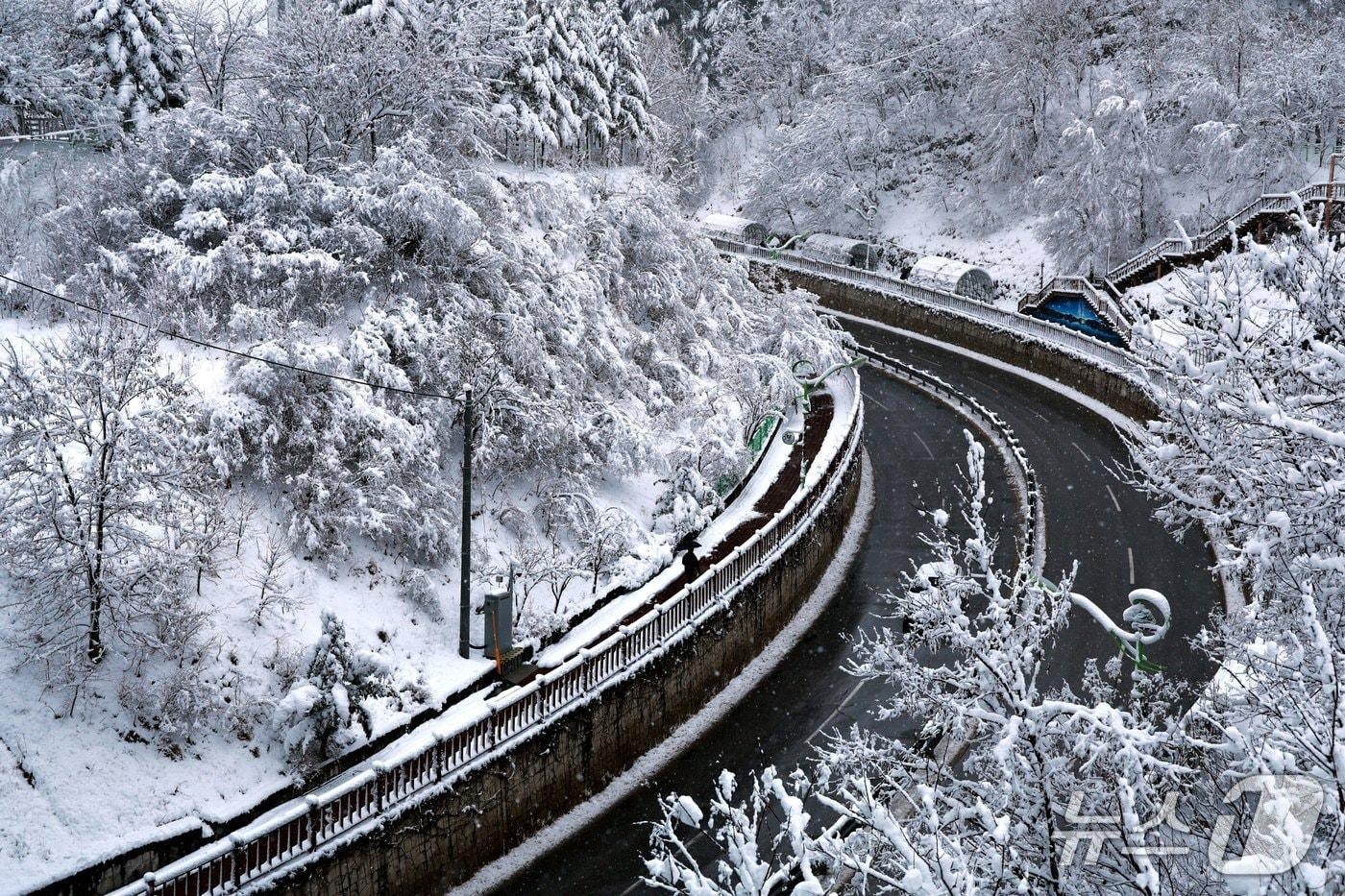 본문 이미지 - 강원 태백시 제설 작업 도로 구간 자료 사진. (태백시 제공. 재판매 및 DB금지) 2026.3.4/뉴스1