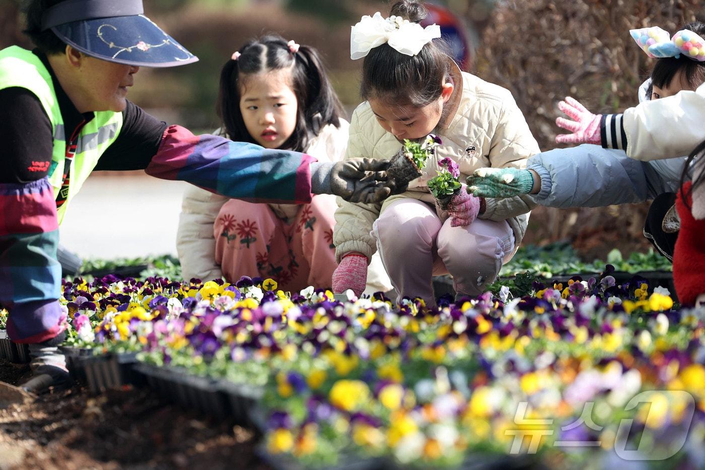 본문 이미지 - 초봄 날씨를 보인 4일 광주 북구청 광장에서 직원과 북구청직장어린이집 아이들이 따뜻한 봄 햇살아래 팬지, 비올라 등의 봄꽃을 심고 있다. (광주 북구 제공. 재판매 및 DB 금지) 2026.3.4 ⓒ 뉴스1 박지현 기자