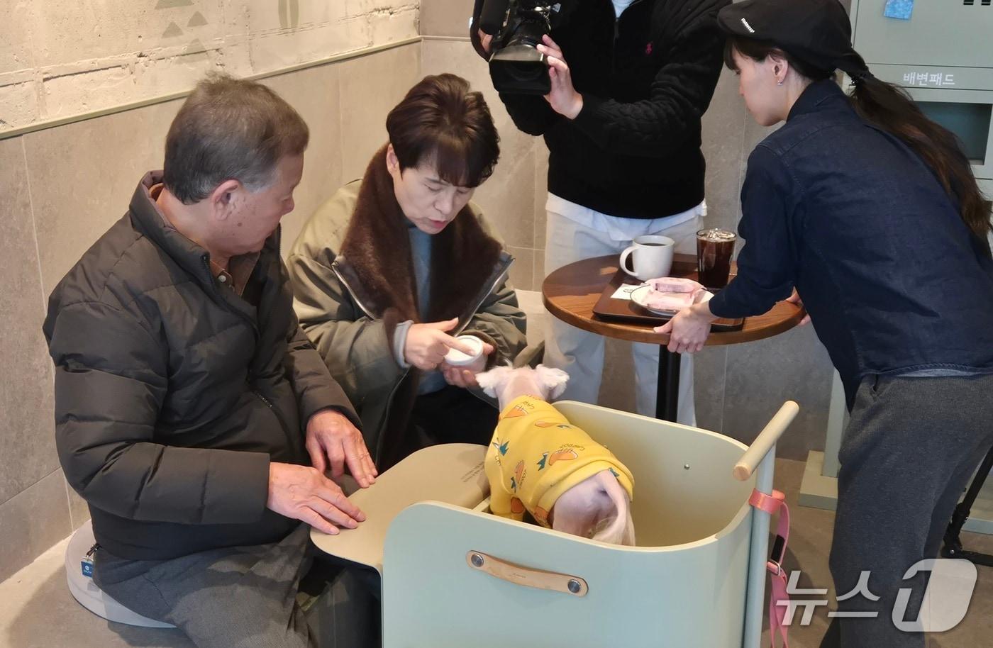 본문 이미지 - 4일 스타벅스구리갈매DT점을 이용하고 있는 반려인과 모찌. 2026.3.4/뉴스1 조유리 기자