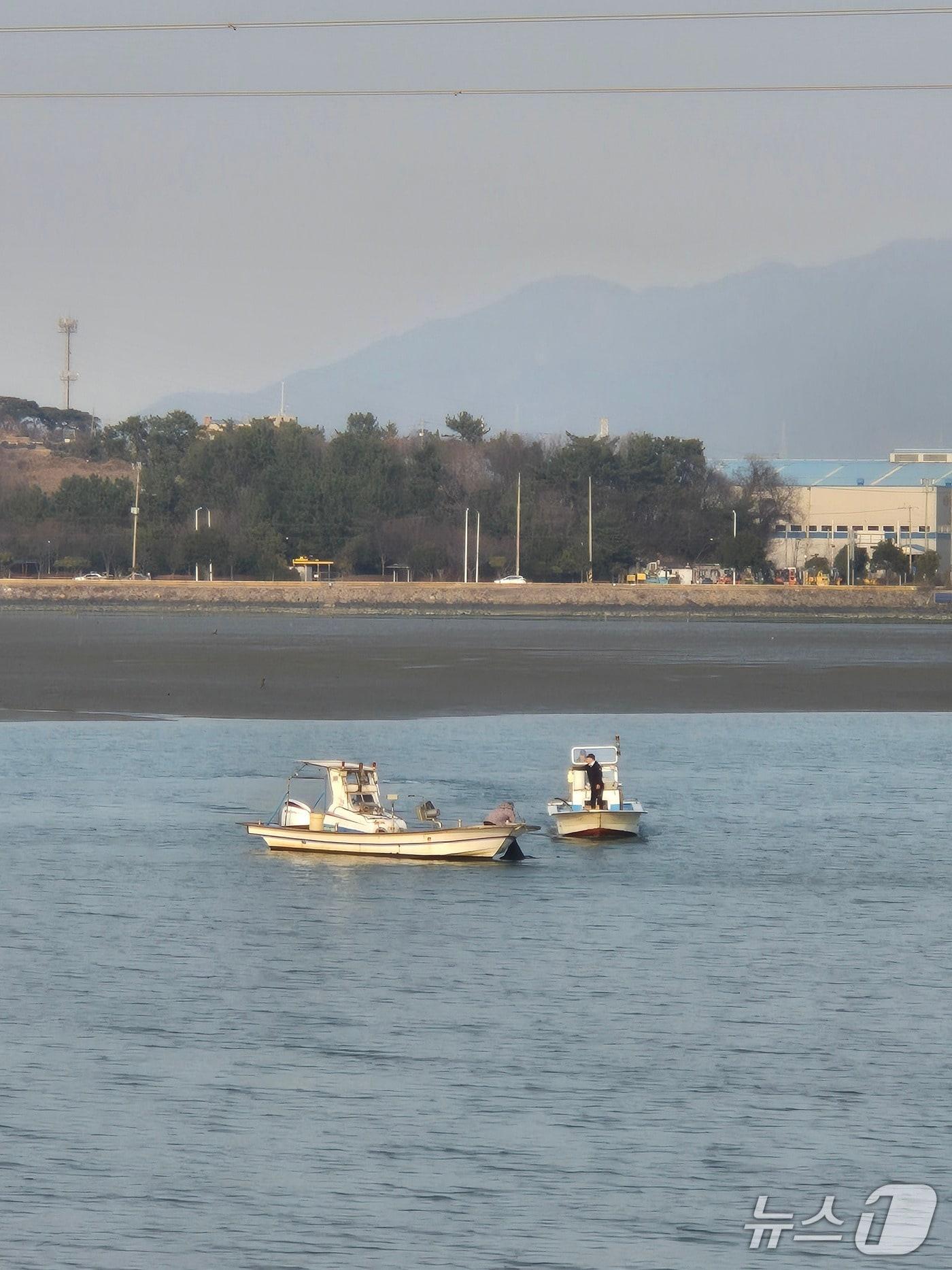 본문 이미지 - 4일 오후 4시 54분쯤 전남 광양시 태인동에서 70대 어부가 바다에 빠져 인근 어부들이 구조 작업을 벌이고 있다. (독자 제공. 재판매 및 DB금지)