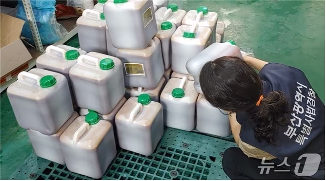 본문 이미지 - 부산시 제공. 재판매 및 DB금지