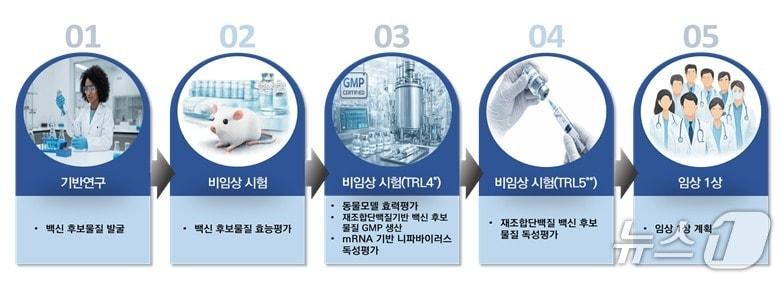 본문 이미지 - 국산 니파바이러스 백신 개발 진행사항(질병청 제공) 2026.3.5/뉴스1