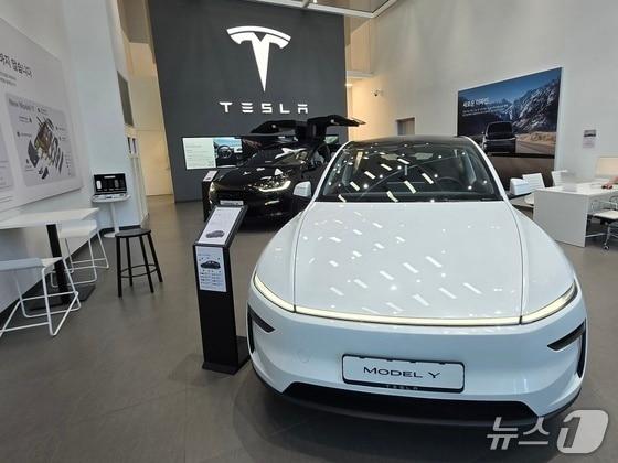 본문 이미지 - 지난 1월 서울 영등포 소재 테슬라 여의도 스토어에 테슬라 중형 전기 SUV '모델Y'(앞)와 준대형 전기 SUV '모델X'가 전시된 모습(자료사진). 2026.01.11/뉴스1 김성식 기자