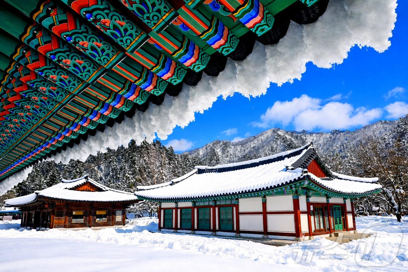 본문 이미지 - 절기상 개구리가 겨울잠에서 깨어난다는 경칩(驚蟄)인 5일 강원 인제군 북면 백담사가 최근 내린 눈으로 뒤덮여 있다.(인제군 제공. 재판매 및 DB금지) ⓒ 뉴스1 이종재 기자