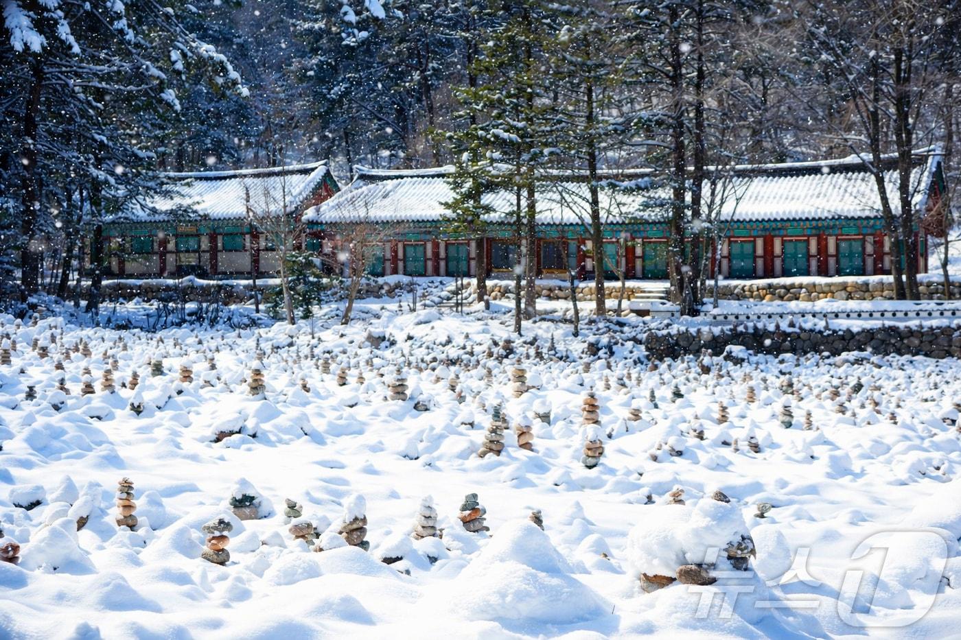 본문 이미지 - 지난 5일 강원 인제군 북면 백담사 일대가 눈으로 뒤덮여 있다. (재판매 및 DB금지) 2026.3.5 ⓒ 뉴스1