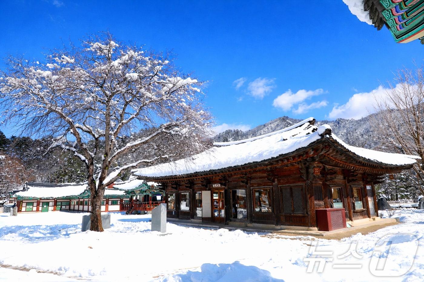 본문 이미지 - 절기상 개구리가 겨울잠에서 깨어난다는 경칩(驚蟄)인 5일 강원 인제군 북면 백담사가 최근 내린 눈으로 뒤덮여 있다.(인제군 제공. 재판매 및 DB금지) 2026.3.5 ⓒ 뉴스1 이종재 기자