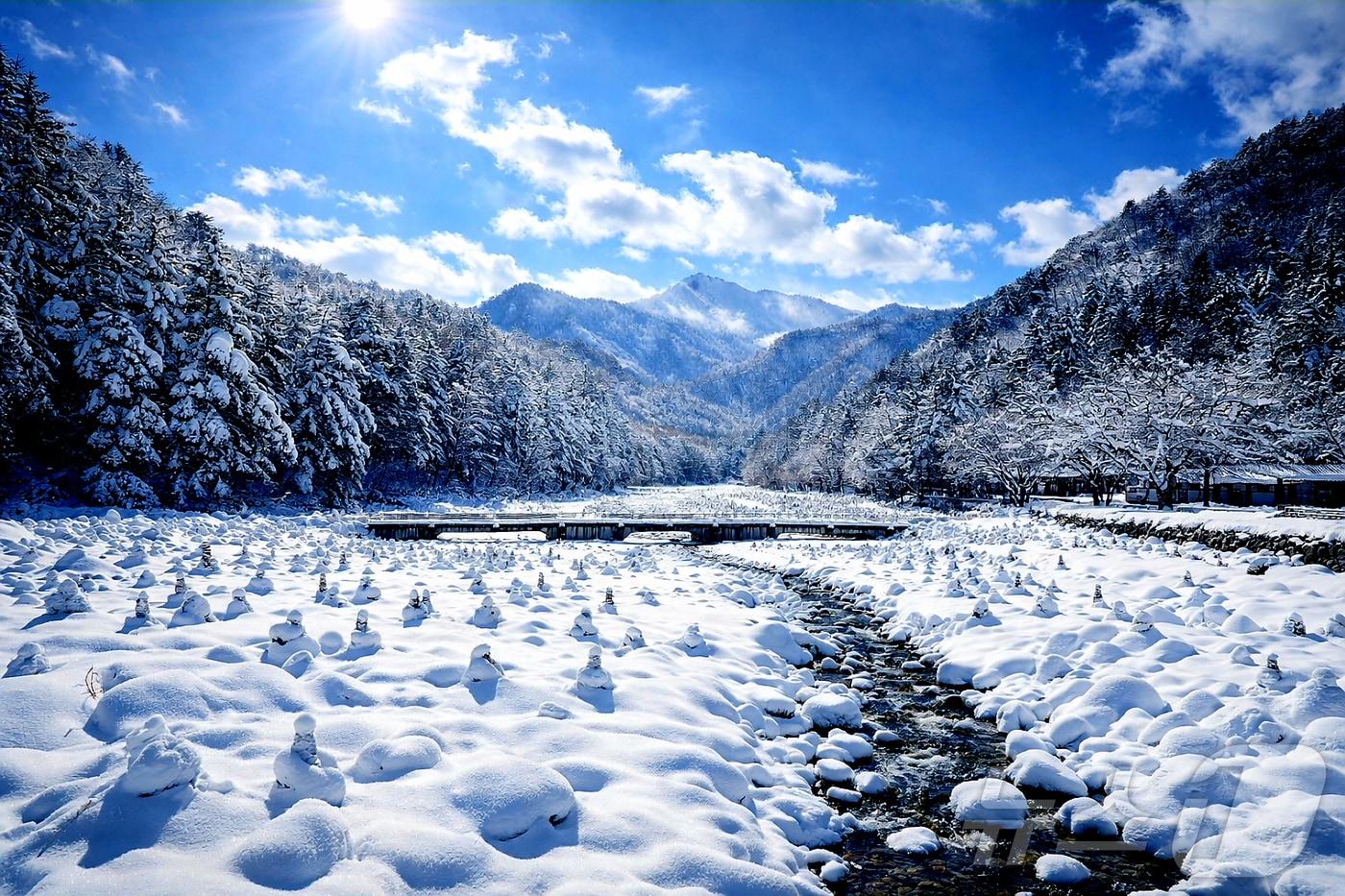 본문 이미지 - 지난 5일 강원 인제군 북면 백담사 일대가 최근 내린 눈으로 뒤덮여 있는 모습. (재판매 및 DB금지) ⓒ 뉴스1
