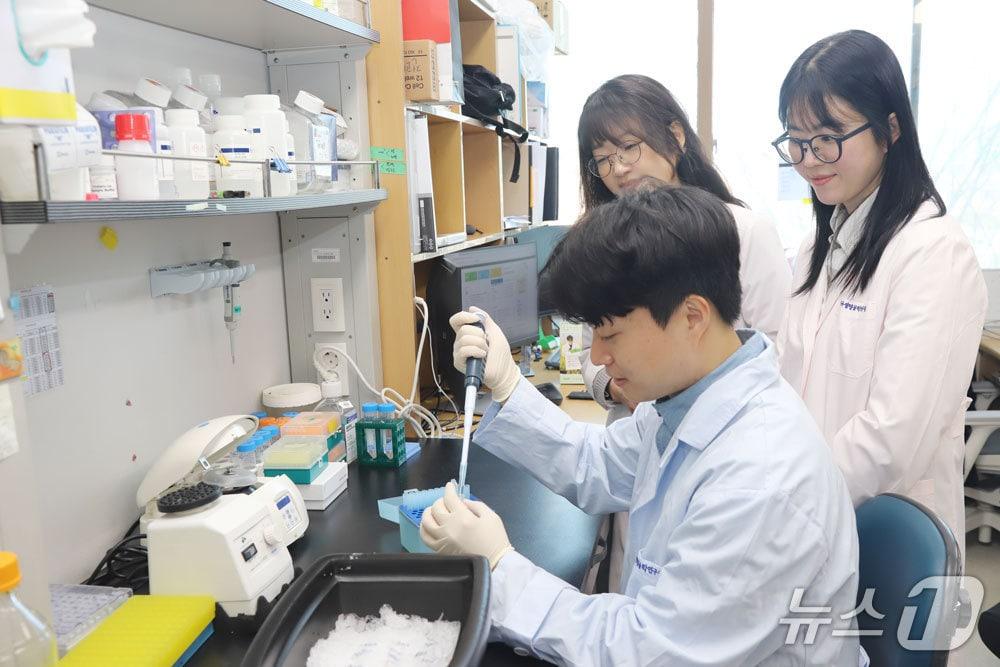 본문 이미지 - 한국생명공학연구원은 국가아젠다연구소 손미영 박사 연구팀(생명연 제공) /뉴스1