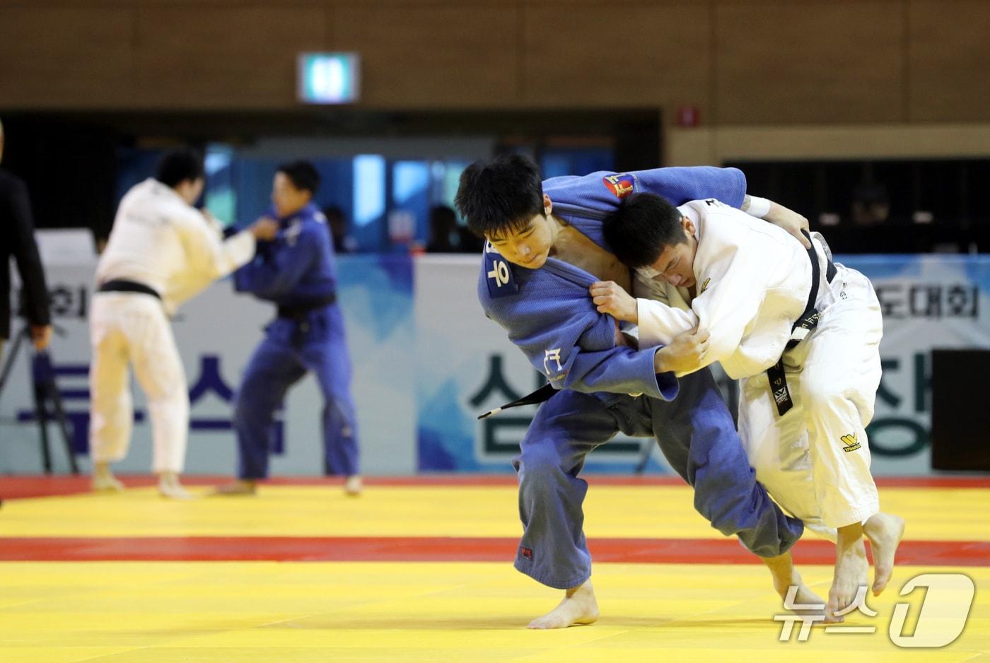 본문 이미지 - 청풍기 전국유도대회.(자료사진)/뉴스1