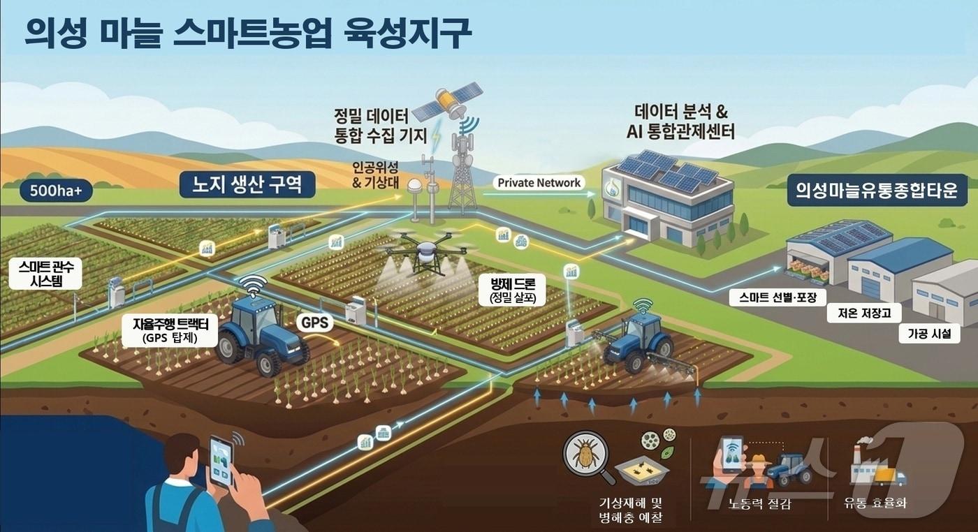 본문 이미지 - 경북도는 6일 농림축산식품부가 주관한 ‘노지 스마트농업 육성지구’ 공모사업에 의성군이 최종 선정돼 총사업비 95억원(국비 49억원)을 확보했다. /뉴스1