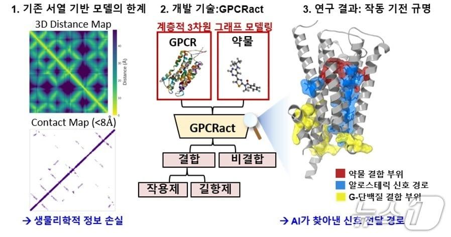 본문 이미지 - '지피씨알액트(GPCRact)' 인공지능 모델의 약물 활성 예측 및 기전 해석 모식도(KAIST 제공) /뉴스1