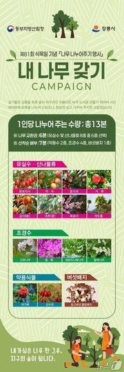 본문 이미지 - 동부지방산림청 2026 내 나무 갖기 캠페인 홍보물.(동부산림청 제공, 재판매 및 DB 금지) 2026.3.6/뉴스1