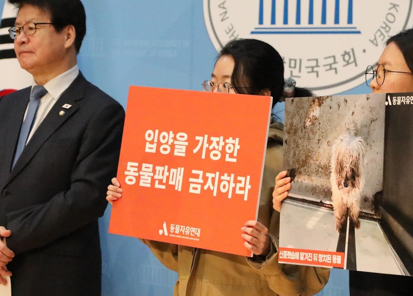 본문 이미지 - 6일 동물자유연대와 임호선 더불어민주당 의원, 신종 펫샵 피해자들은 국회에서 공동 기자회견을 열었다(동물자유연대 제공). ⓒ 뉴스1