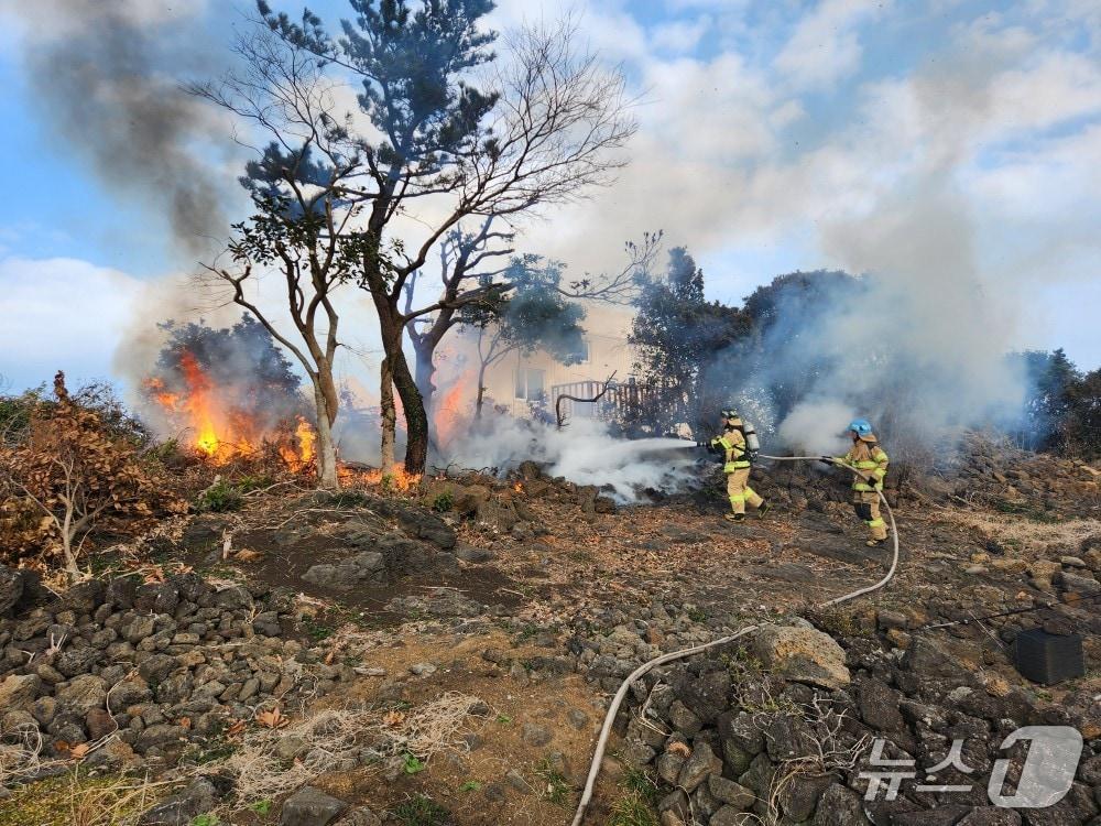 본문 이미지 - 지난달 4일 제주시 구좌읍 평대리에서 발생한 방풍림 화재현장.(제주도소방안전본부 제공. 재판매 및 DB r금지)