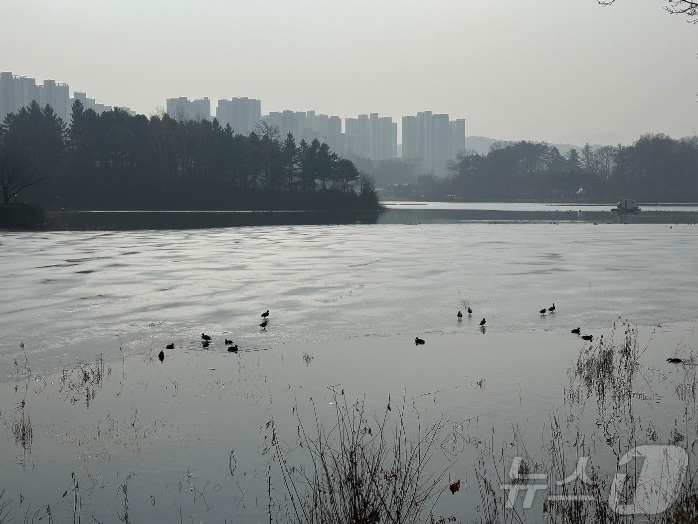 본문 이미지 - 충주 호암지 겨울 풍경. ⓒ 뉴스1 윤원진 기자