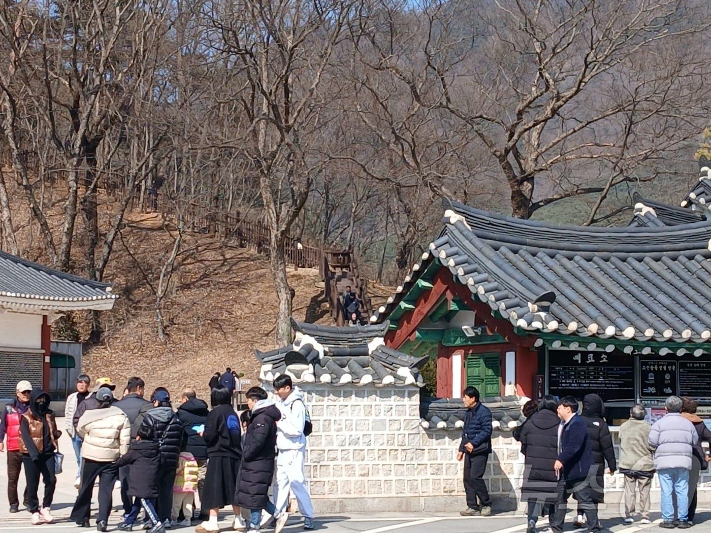 본문 이미지 - 강원 영월군 장릉 자료 사진. ⓒ 뉴스1 신관호 기자