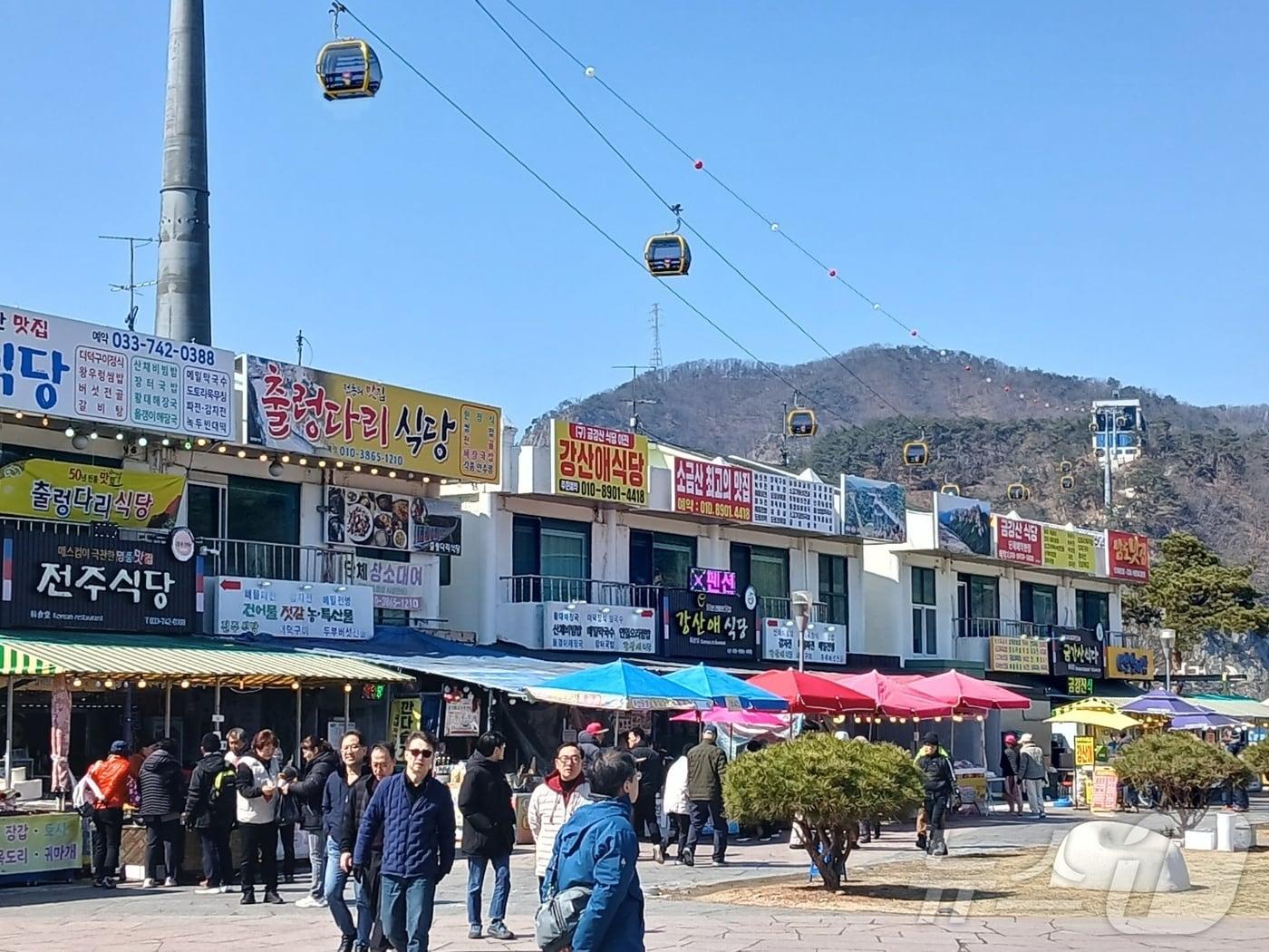 본문 이미지 - 8일 낮 강원 원주시 간현관광지에 여행객들이 몰려든 가운데, 관광객들이 소금산 출렁다리와 케이블카를 비롯한 관광시설을 이용하면서 휴일을 즐기고 있다. 2026.3.8 ⓒ 뉴스1 신관호 기자