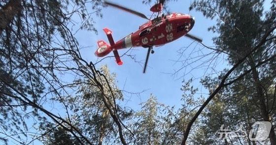 본문 이미지 - 8일 오후 강원 인제군 상남면의 한 야산에서 벌목작업자인 남성 A 씨(66)가 사고를 당해 심정지 상태를 보이는 등 헬기를 통해 병원으로 옮겨졌다. (강원도소방본부 제공. 재판매 및 DB금지) 2026.3.8/뉴스1