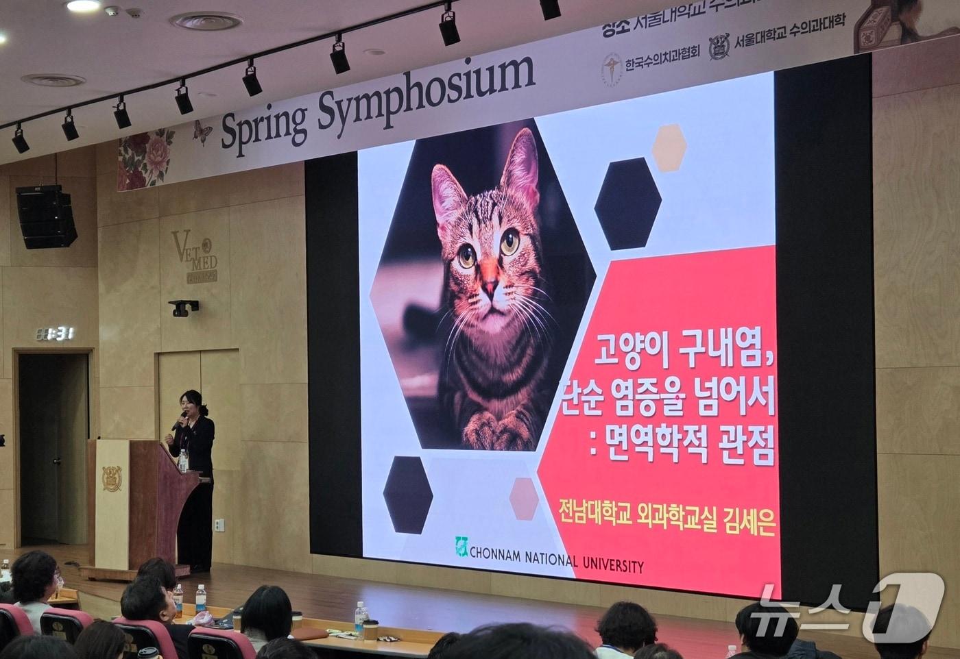 본문 이미지 - 김세은 전남대학교 수의과대학 교수가 지난 8일 한국수의치과협회 춘계 심포지엄에서 고양이 만성 구내염을 주제로 강의하고 있다. ⓒ 뉴스1
