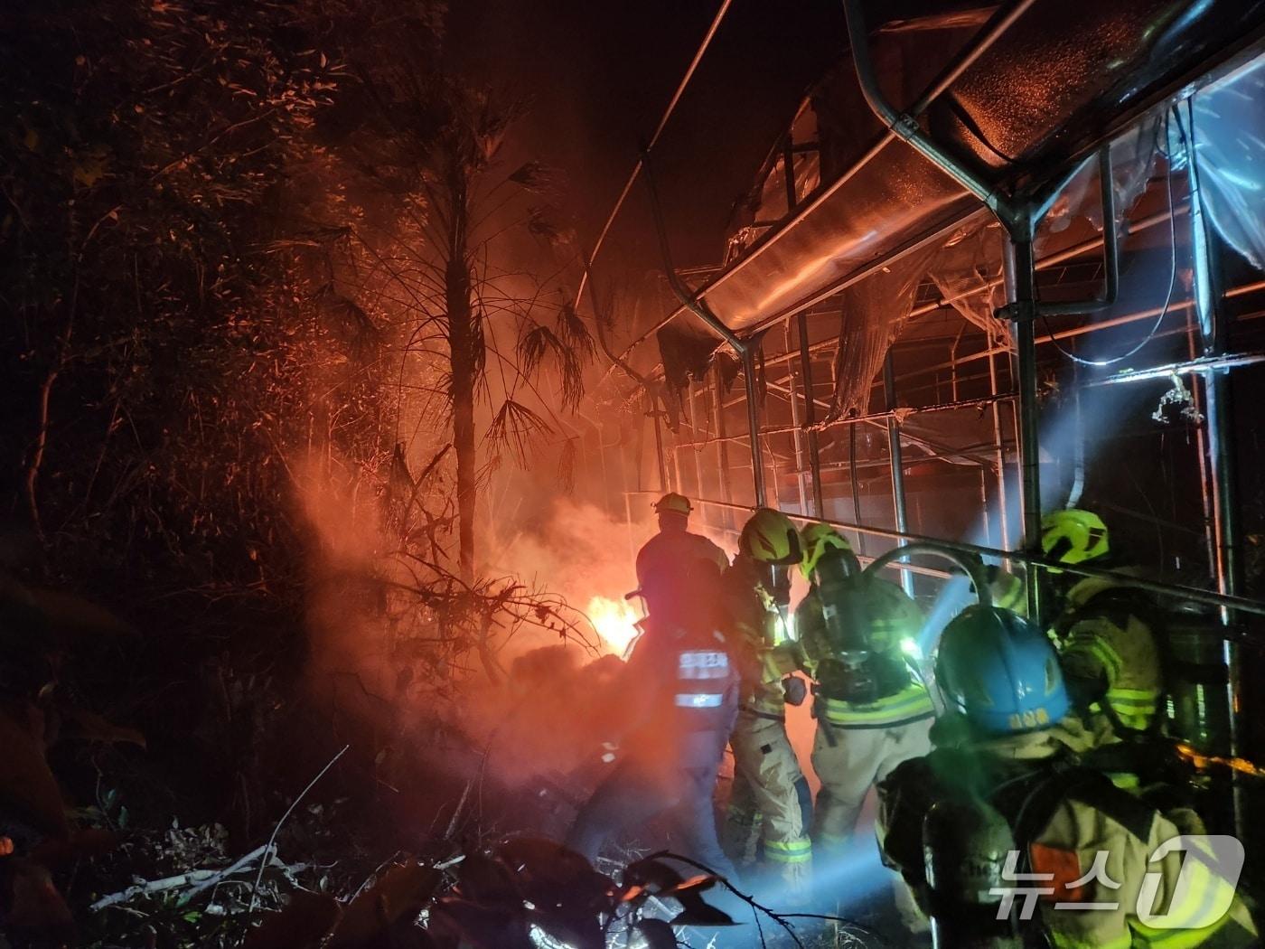 본문 이미지 - 감귤 과수원 화재 현장(제주소방본부 제공. 재판매 및 DB금지)/뉴스1