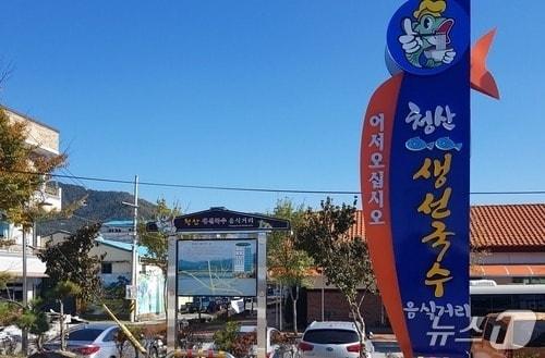 본문 이미지 - 옥천군 청산면 생선국수 특화거리(옥천군 제공. 재판매 및 DB금지) 