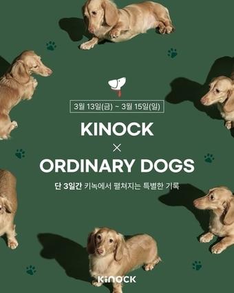 본문 이미지 - 웰컴 키녹 프로필 이벤트(교원그룹 제공)