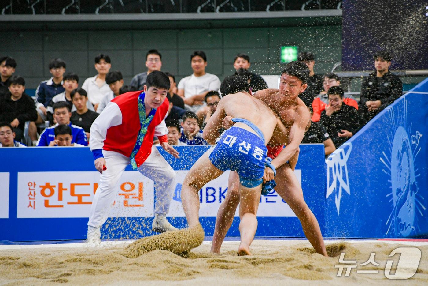 본문 이미지 - 지난해 열린 55회 회장기 전국장사씨름대회에서 중등부 학생들이 실력을 겨루고 있다.(문경시 제공. 재판매 및 DB 금지)2026.3.9/뉴스1