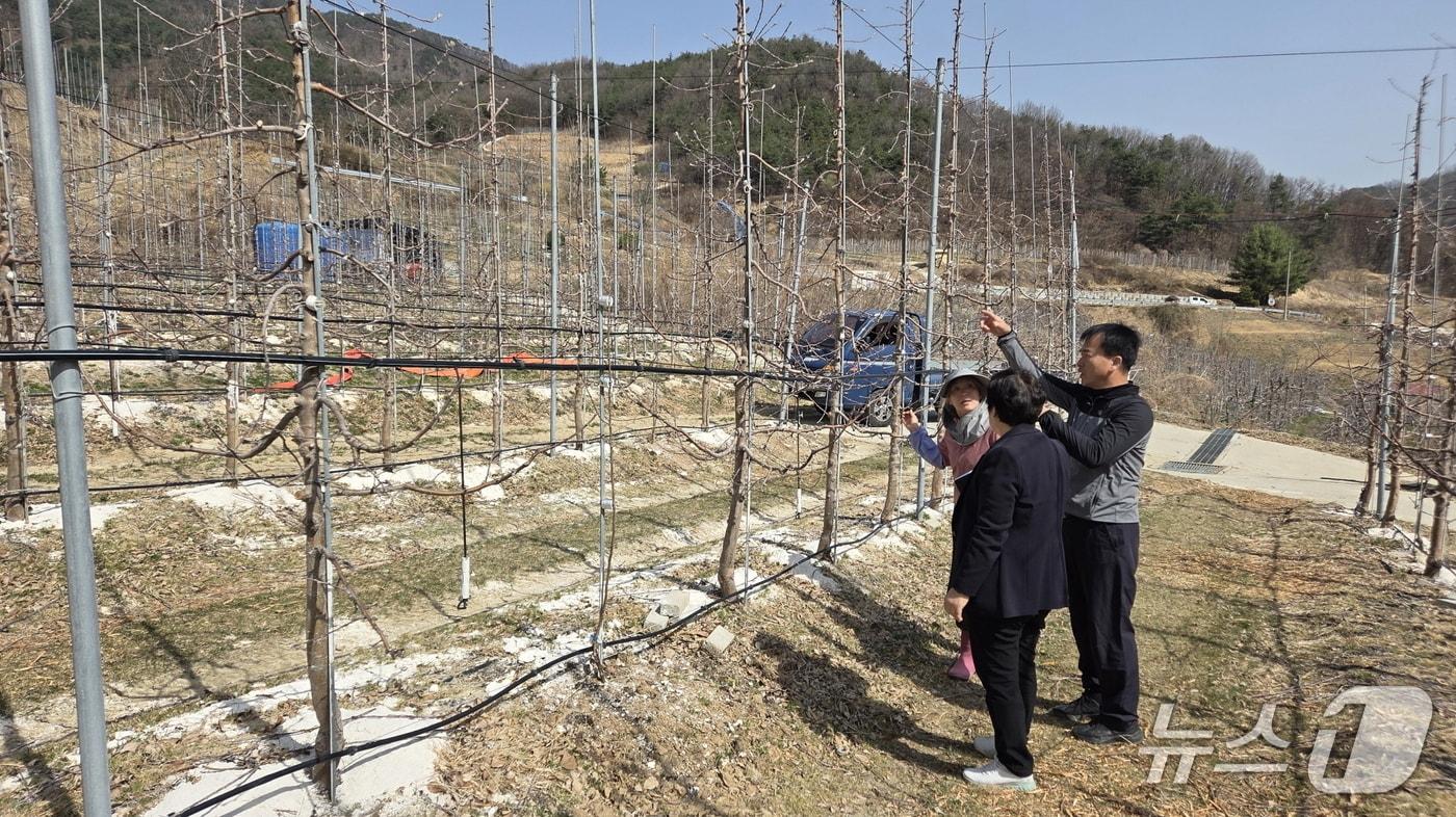 본문 이미지 - 신규 농업인이 선도 농가에서 현장 실습을 하고 있다.(영주시 제공. 재판매 및 DB 금지)2026.3.9/뉴스1