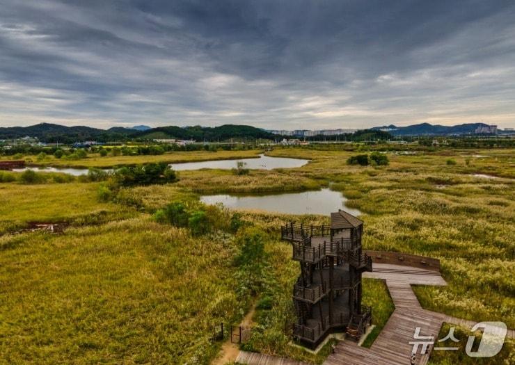 본문 이미지 - 소래습지 생태공원 (인천시 제공.재판매 및 DB금지)
