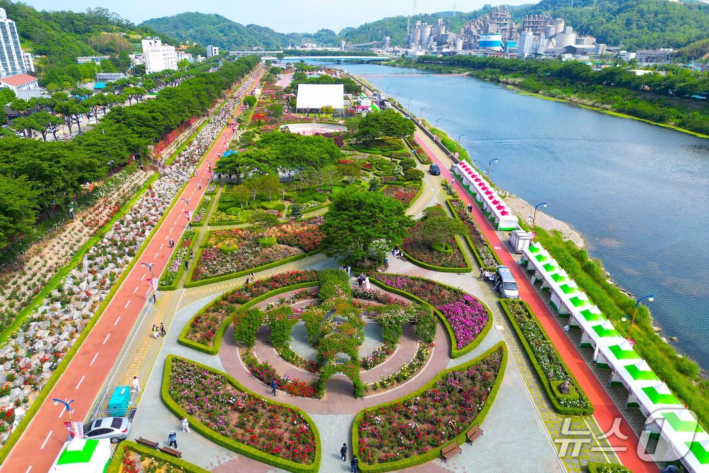 본문 이미지 - 지난해 삼척 장미축제 자료사진.(삼척시 제공, 재판매 및 DB 금지) 2026.3.9/뉴스1