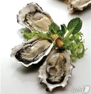 본문 이미지 - 3월 생산된 봄 굴 (수과원 제공. 재판매 및 DB금지)