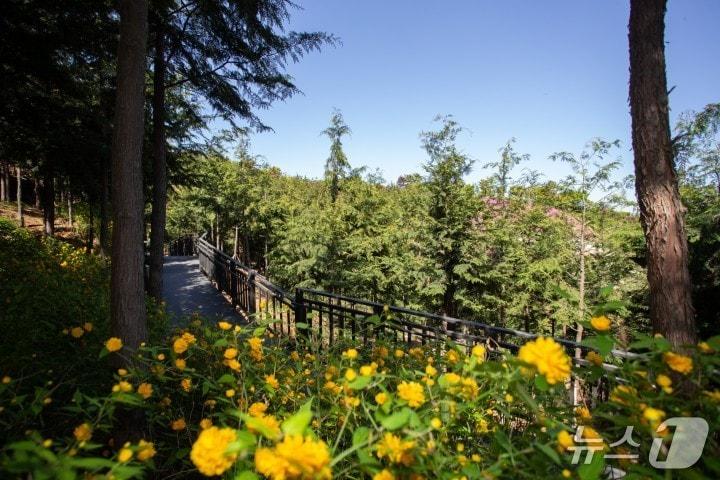 본문 이미지 - 봉산 무장애숲길 9.8km 조성.(은평구 제공)