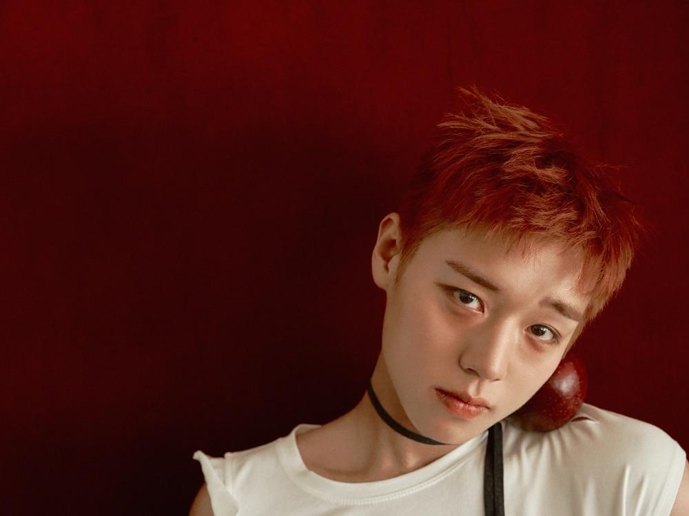 본문 이미지 - 박지훈(YY엔터테인먼트 제공)