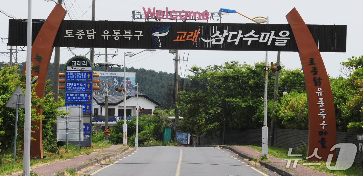 본문 이미지 - 토종닭 유통특구로 지정된 제주시 조천읍 교래리 교래마을.ⓒ 뉴스1 DB