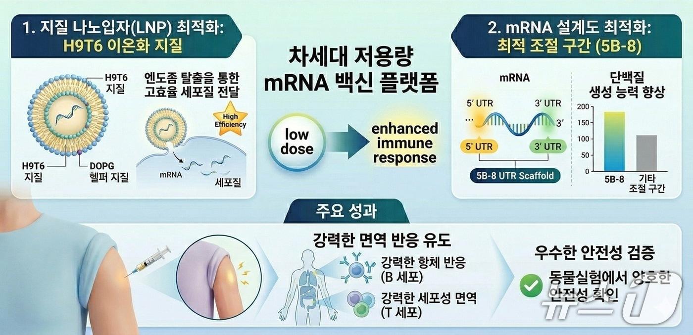본문 이미지 - 세대 저용량 mRNA백신 플랫폼 모식도(생명연 제공) /뉴스1