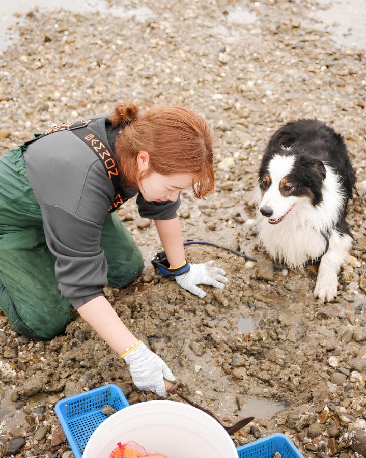 본문 이미지 - 지난해 운영한 반려견 특화 프로그램.(태안군 제공. 재판매 및 DB금지)/뉴스1