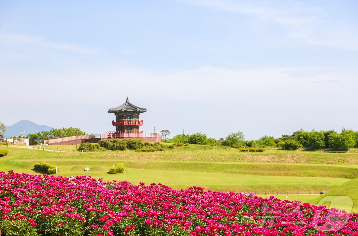 본문 이미지 - 빠르게 이동하는 일정 대신 숲길을 걷고, 계곡에 머무는 느린 여행이 확산되는 가운데 의성군이 사찰·계곡·마을·로컬 미식을 한 동선에 담은 체류형 여행지로 주목받고 있다. /뉴스1