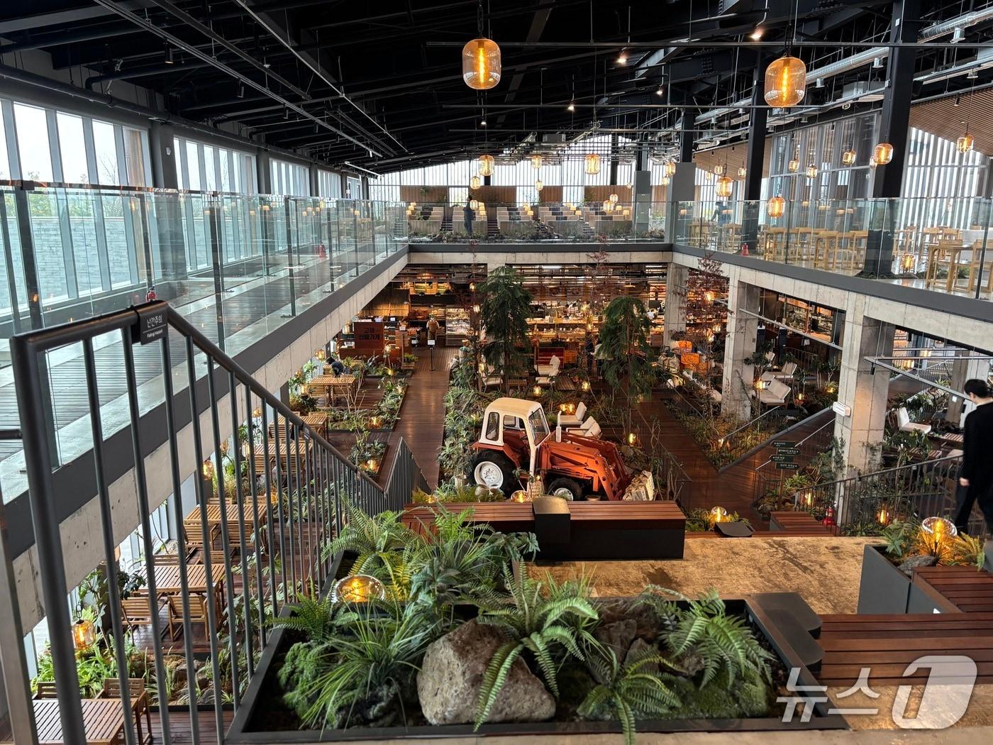 본문 이미지 - 제주대동 '그린 스케이프' 프로젝트 일환으로 조성된 제주당 베이커리 카페. (제주대동 제공) 