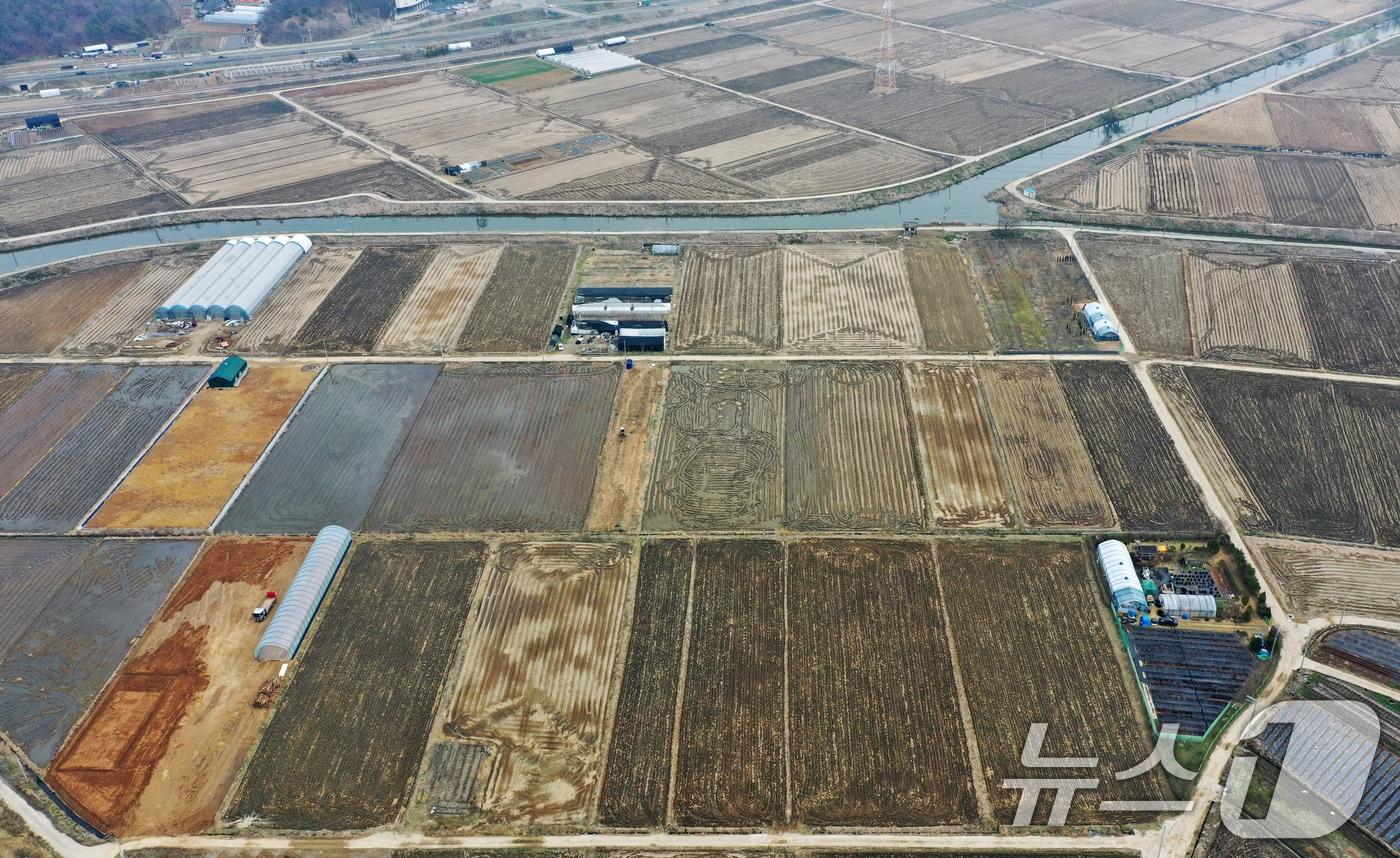 본문 이미지 - 정부 수립 이후 78년 만에 처음으로 전국 농지 전수조사가 5월부터 시작된다. 올해부터 내년까지 2년에 걸쳐 전국 전체 농지 195만㏊를 2단계로 나눠 조사하며 올해 1단계 전수조사는 전국 약 115만ha가 대상으로, 땅값이 비싼 경기도와 수도권 중심으로 진행될 계획이다. ⓒ 뉴스1 김영운 기자